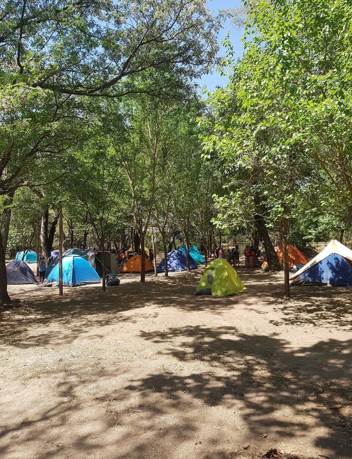 /images/tent/camping-el-bosque4.jpeg